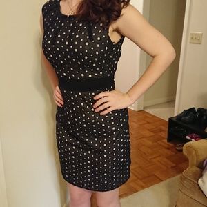 The Limited Fit & Flare Black Eyelet Dress